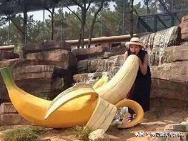 世界上“最大”香蕉樹，一根蕉比胳膊還粗，當地人：一天只吃一個