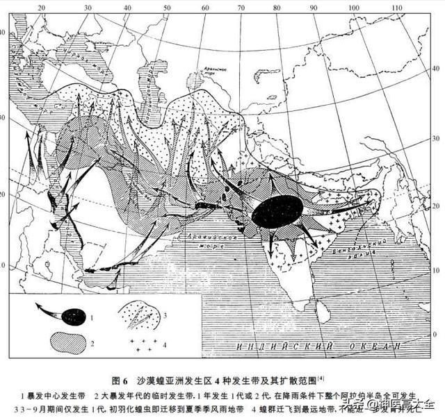 蝗虫会不会大规模来中国？