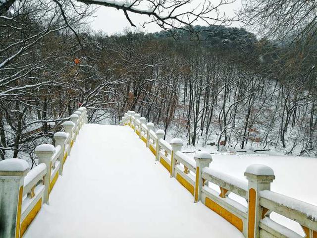 雪后千山似仙境 宅家也能过眼瘾