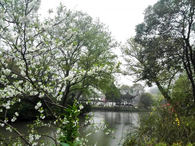 扬州,人间四月做神仙