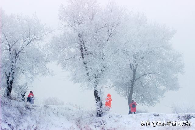 吉林雾凇“冰雪奇缘”中国四大气象奇观之一