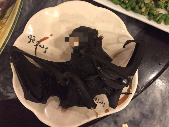 蝙蝠长相难看，为何有人吃得下去？马来西亚群众：味道像鸡肉味