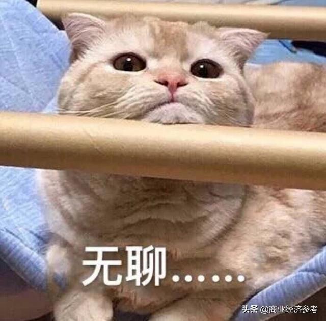 无聊吗?钉钉社交软件一夜爆火!5.4亿下载,超越微信成第一