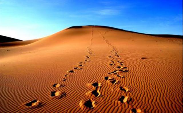 为什么在沙漠里迷路了不能走直线？越走直线越出不去，要这样走