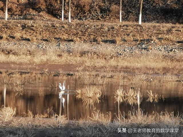 初春的玉符河真美