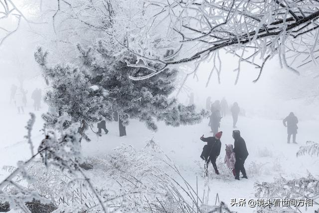 吉林雾凇“冰雪奇缘”中国四大气象奇观之一