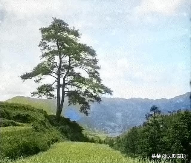 广东省茂名市：1932年的信宜城钱排镇