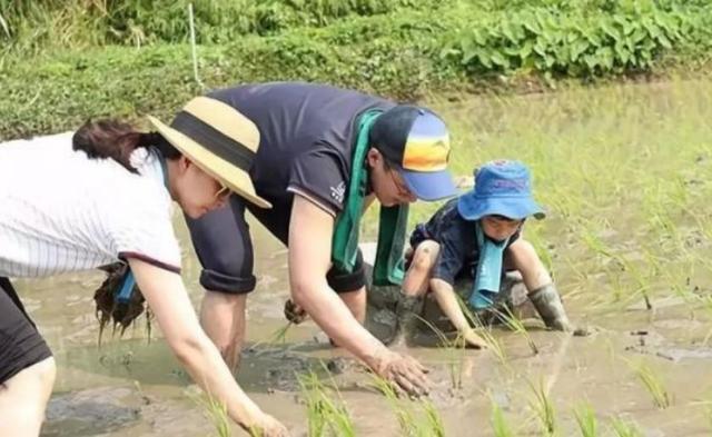 为武汉捐7000万的郭晶晶，用3块钱的发圈：不是有钱，就能叫豪门