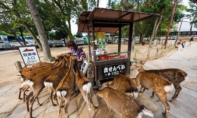 世界各地如果没有中国游客，该有多无聊