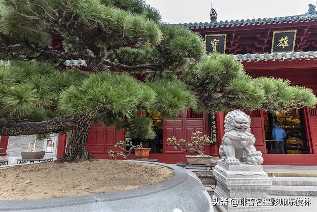 与老广州同游四大名寺之首，镜头追寻海幢寺前世今生的遗存