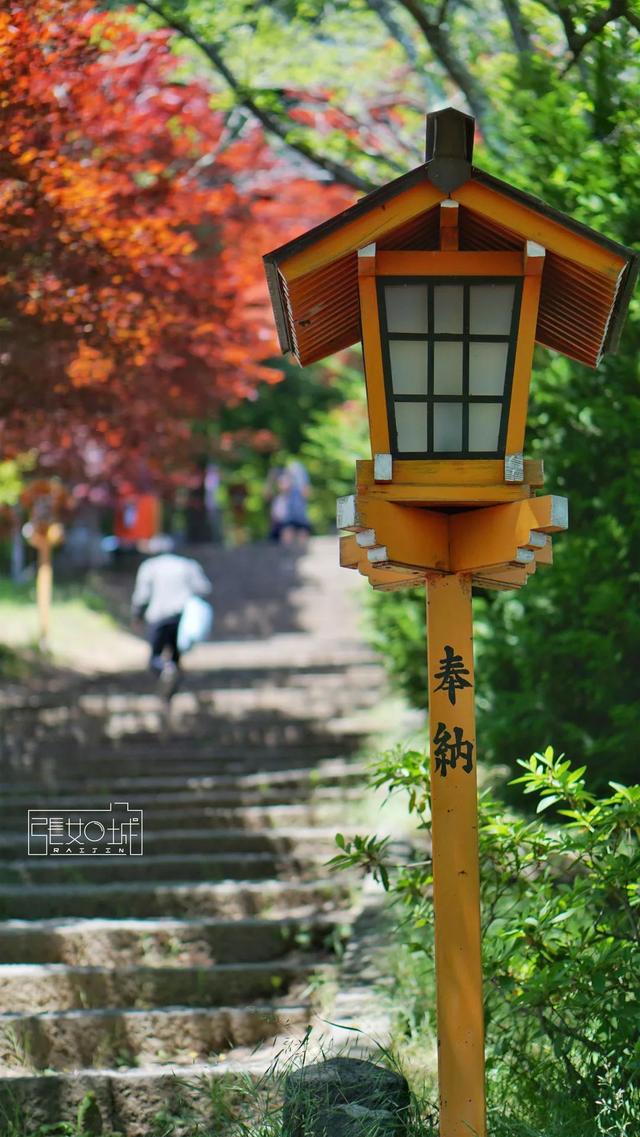 日本 | 河口湖篇：兜兜转转皆是你