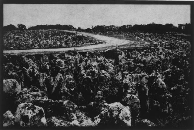 “鸟粪”有什么用？可以让一个国家暴富，也能让一个国家毁灭