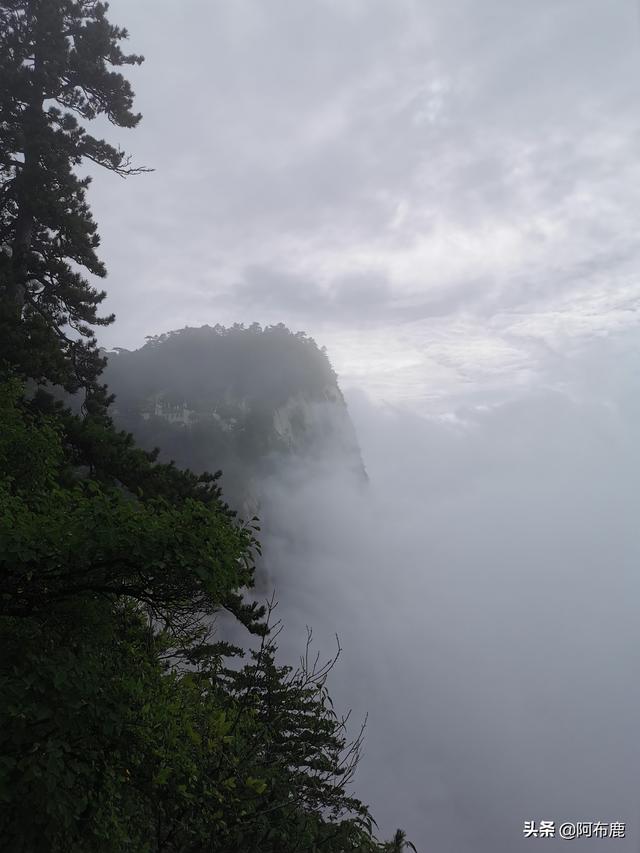 一般人我都不告诉!华山详细亲身避坑旅游指南!远离黑心导游