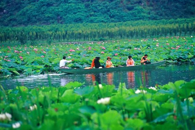 30個國內醉美旅行地，哪個才是你心中的NO.1？