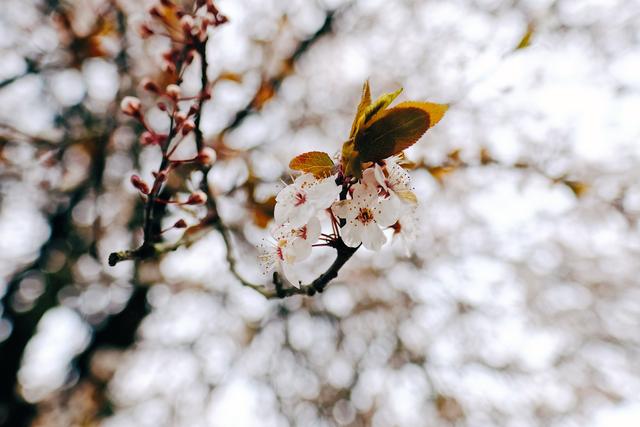 带富士相机X-Pro2旅行完十个国家,拍摄体验如何?