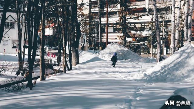 北海道跨年旅行血泪史，我想我一定弄错了打开方式。