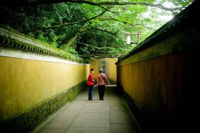 沒去過舟山,沒資格聊海鮮