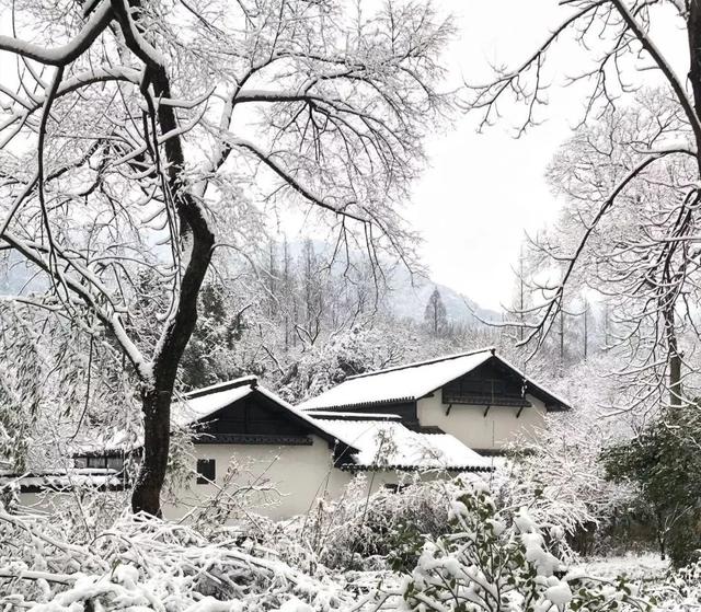 中国四大安缦酒店下午茶指南，6000元/晚酒店的下午茶长这样