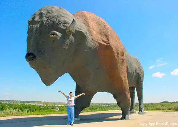 为何有人喜欢收集美国车牌,盘点全美50个州车牌,看完你也想收集