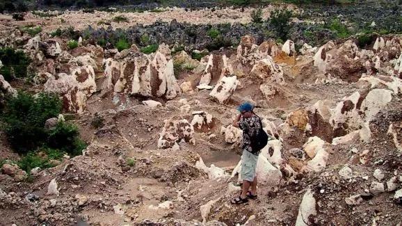 “鸟粪”有什么用？可以让一个国家暴富，也能让一个国家毁灭