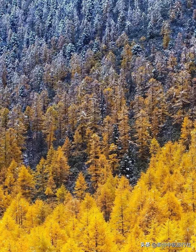 云南凭什么能圈粉无数？你真的了解吗？