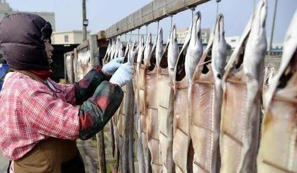 沒去過舟山,沒資格聊海鮮