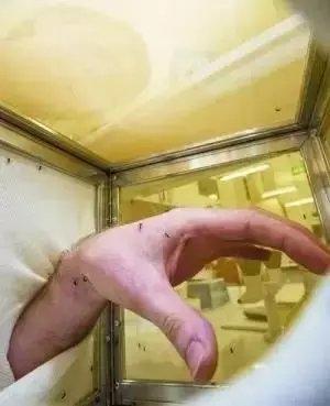 10种没人想做的工作，甚至有几个我听都没听过