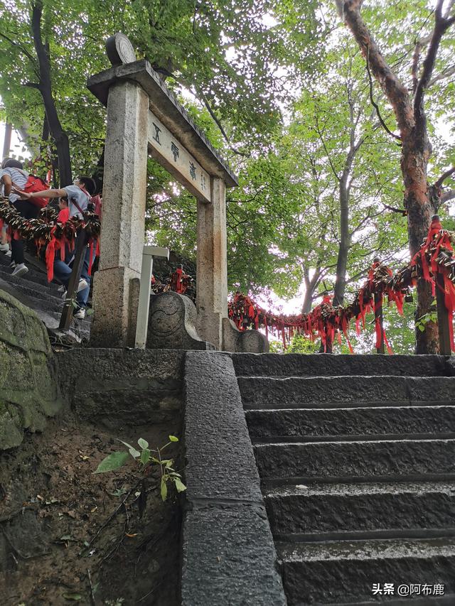 一般人我都不告诉!华山详细亲身避坑旅游指南!远离黑心导游