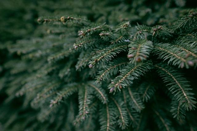 带富士相机X-Pro2旅行完十个国家,拍摄体验如何?