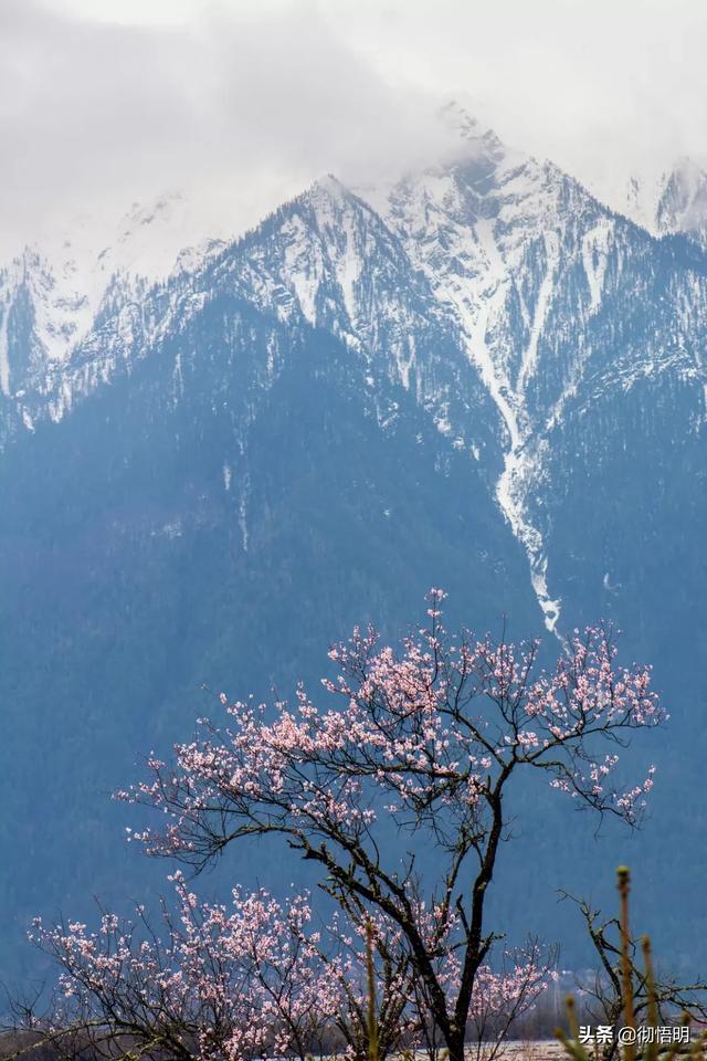 一生必去的50个人间美景，趁着阳光刚刚好，熬过这段时间就出发