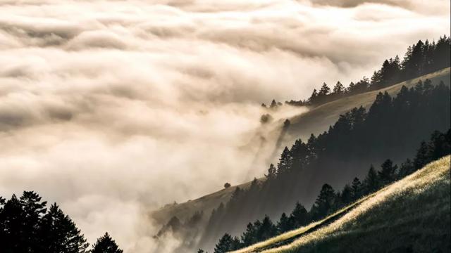 疫情过后，旅游分水岭或将显现