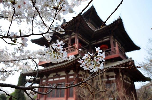 （三秦胜迹）长安青龙寺：“青龙依旧在，几度夕阳红”