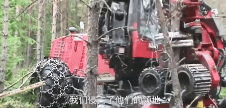 我们终于把地球搞出事了