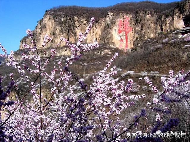 惊蛰丨平山的春天正等待着与你相见!