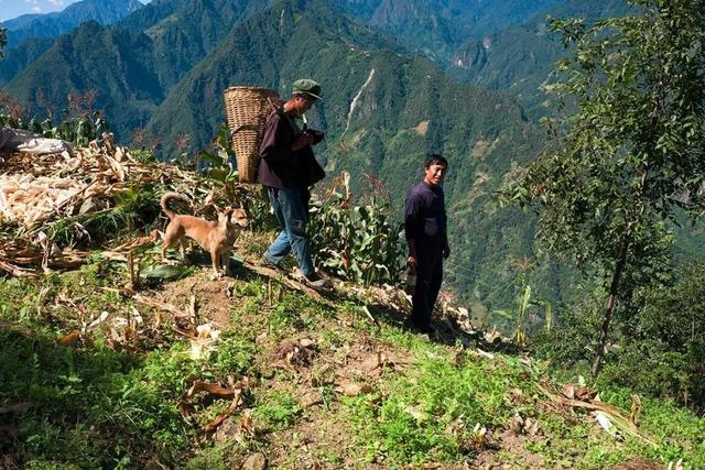 全线免费！云南300km“美丽公路”通车运行，怒江绝色风景要藏不住了！