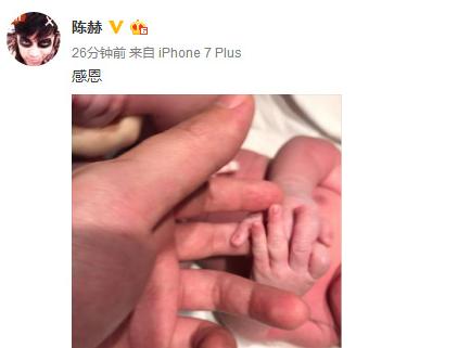 陈赫与张子萱二胎生女，许婧喜提新居，他们终于各自安好