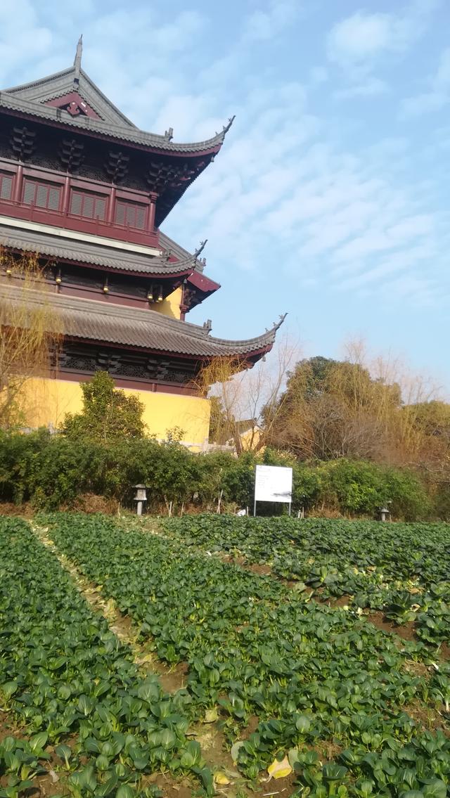 蘇州筆記：陽澄湖重元寺記遊