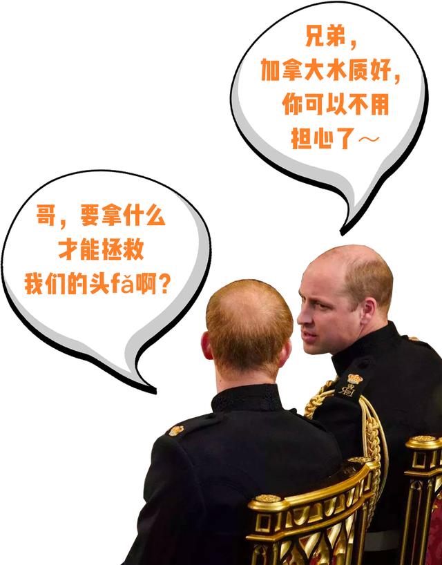 王子确诊新冠！兄弟不和妯娌大战！英国王室的深宫大戏何时完结