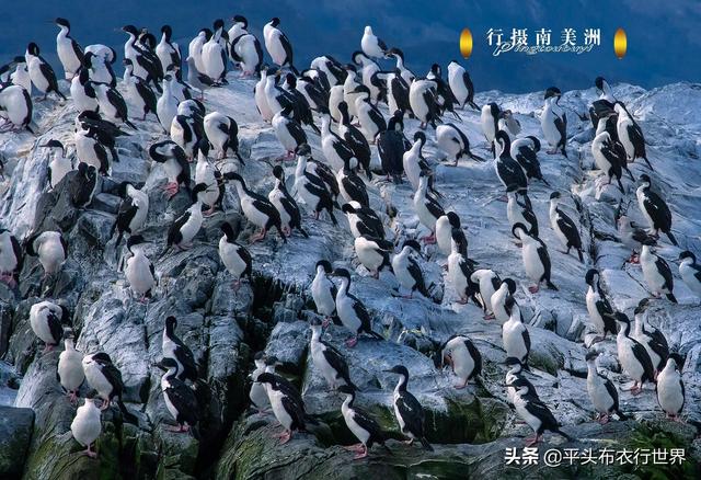 世界的尽头—乌斯环亚