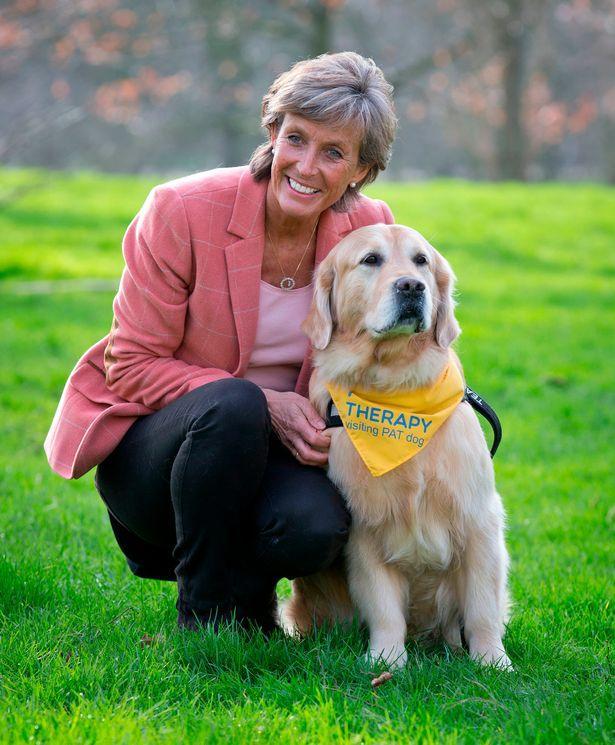 英3岁男孩患罕见脑炎，身插26根管昏迷不醒，治疗犬意外助其康复