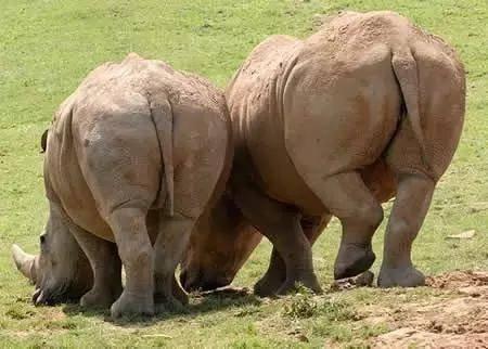 10种没人想做的工作，甚至有几个我听都没听过