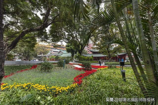 与老广州同游四大名寺之首，镜头追寻海幢寺前世今生的遗存