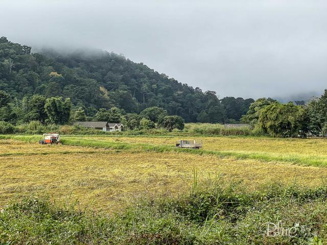 骑泰国最美公路，拜县租摩托去密窝村最全攻略，途中没油差点歇菜