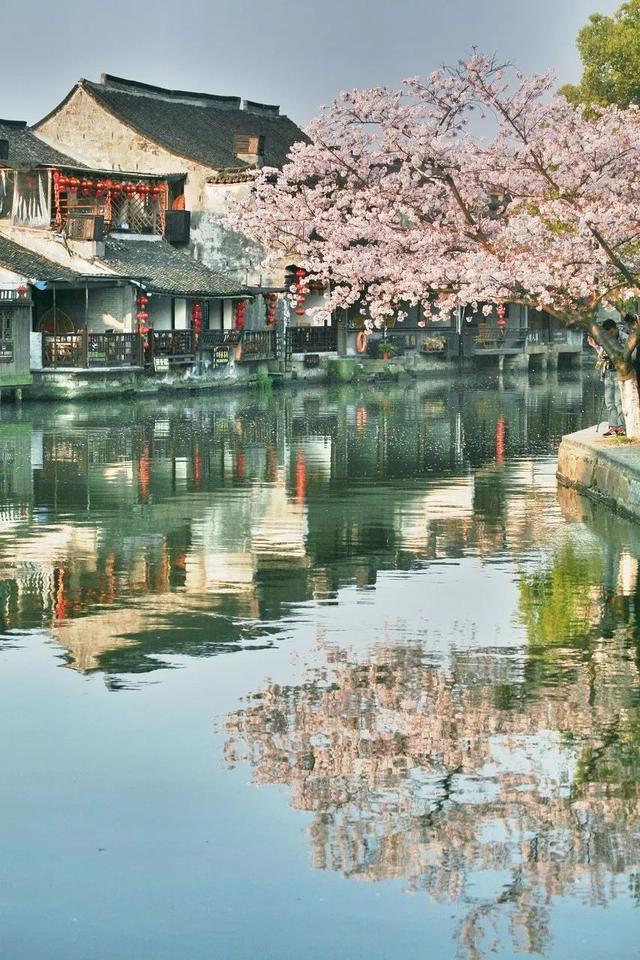 44張照片告訴你，中國的春天有多美