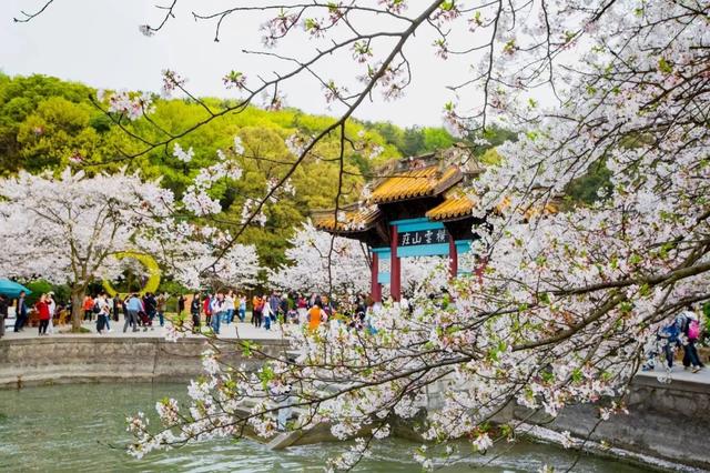 陽春三月！中國最美的地方