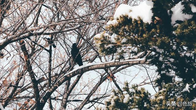 北海道跨年旅行血泪史，我想我一定弄错了打开方式。