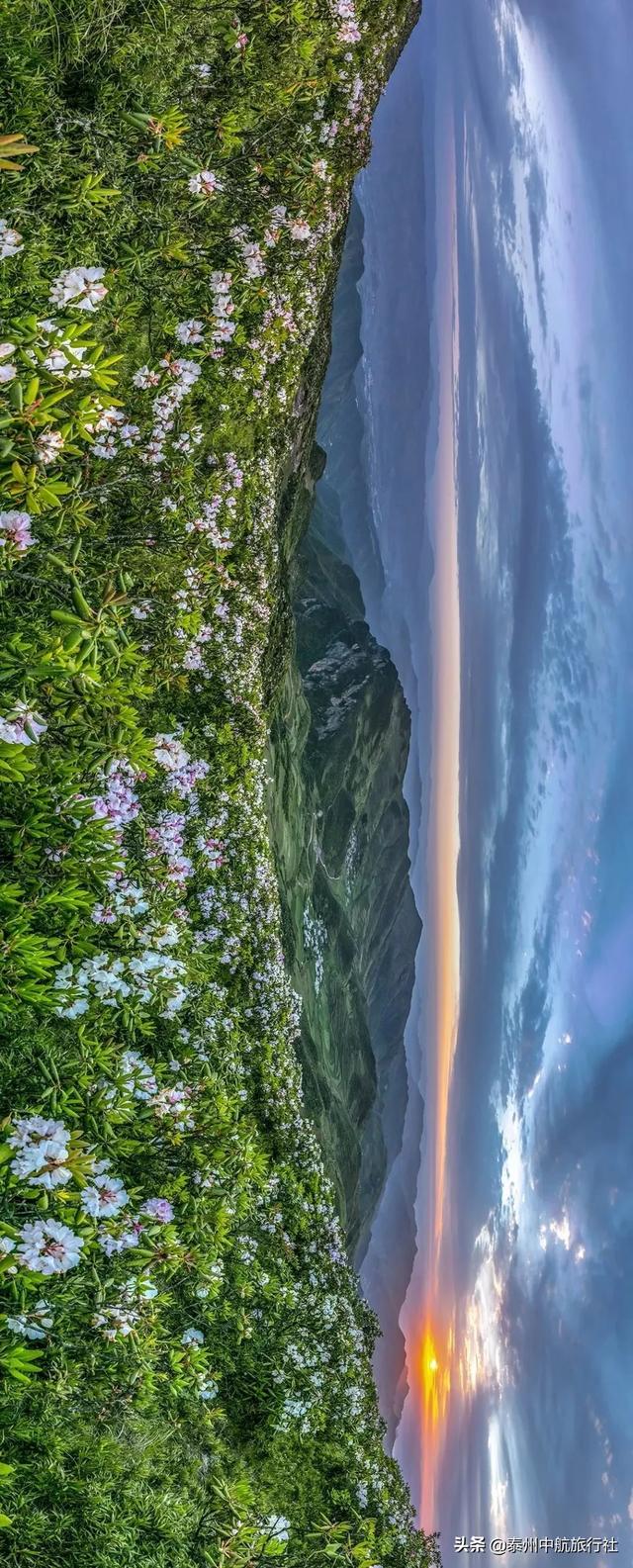 云南凭什么能圈粉无数？你真的了解吗？