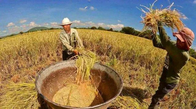 假如我们无法从国外进口到粮食，需要不需要在家里囤一些粮？