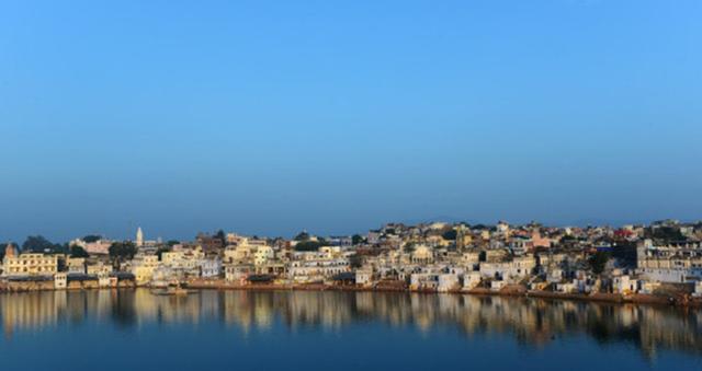 印度沙漠小镇，一集交易上万头骆驼，宰杀前眼中噙着泪水望着主人