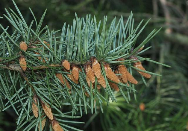 为何有人喜欢收集美国车牌,盘点全美50个州车牌,看完你也想收集